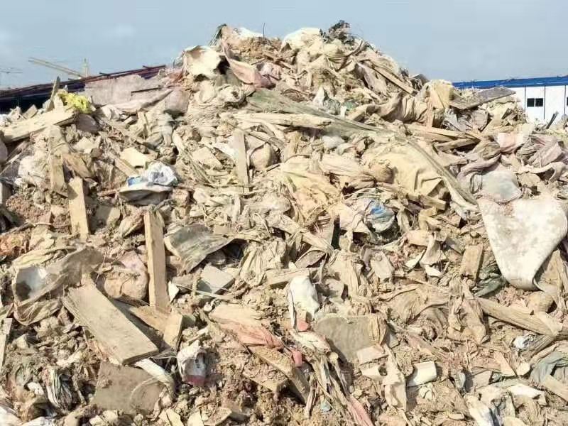 一般固廢處置 (10)